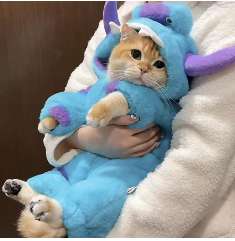 ペットウェア