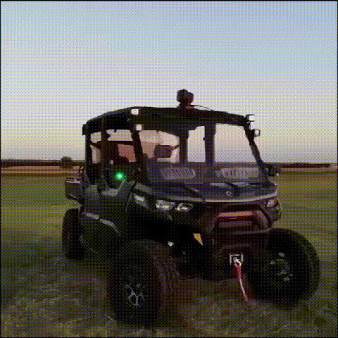 カーライト