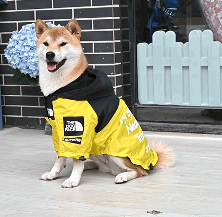 パンチングジャケット