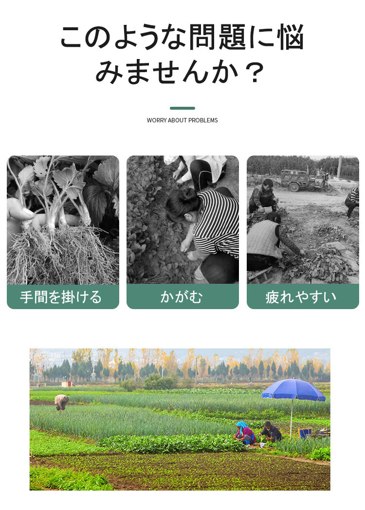 苗木プランター