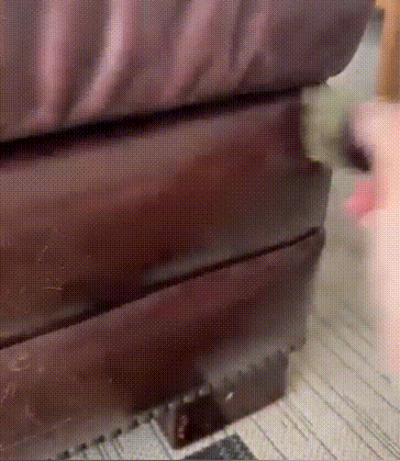 バームセット