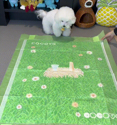 ペット用おしっこパッド