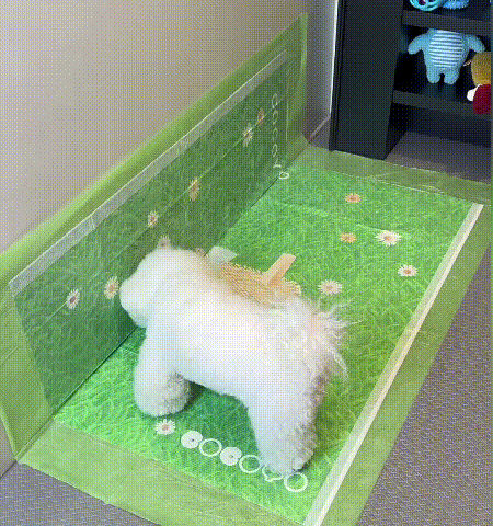 ペット用おしっこパッド