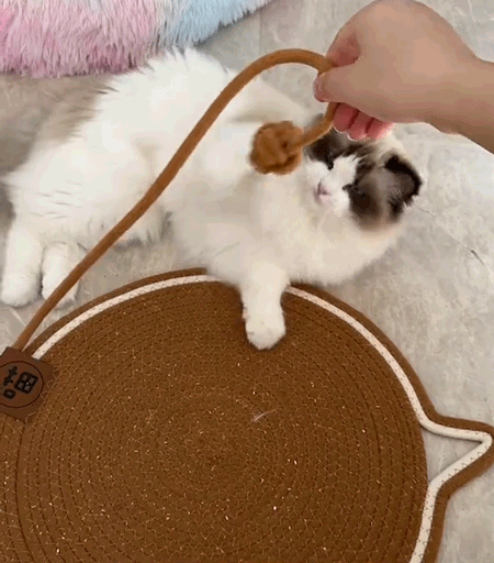 キャットスクラッチマット