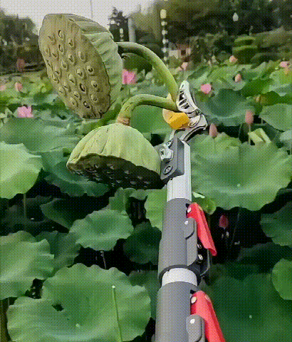 ピッカー