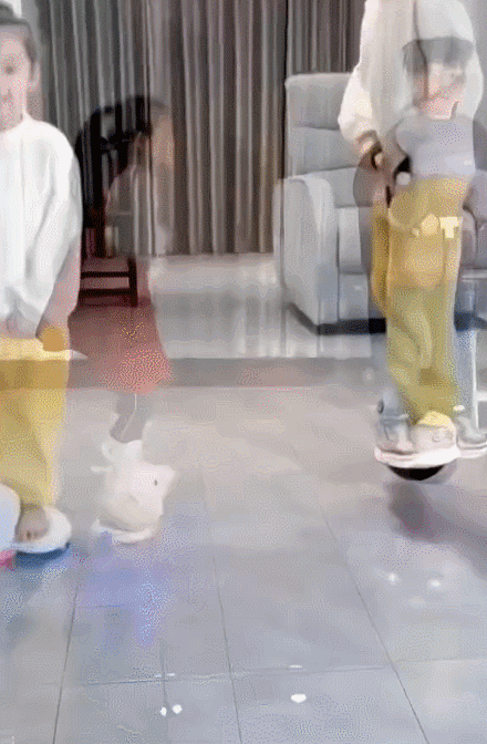ジャンピング・ボール