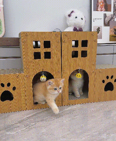 ヴィラ