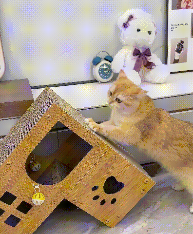 ヴィラ