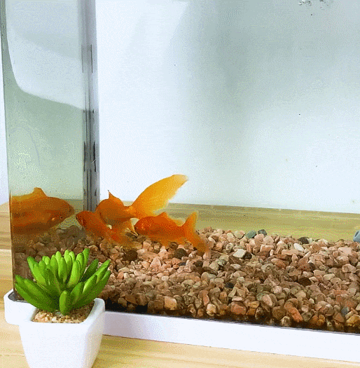 浄水器