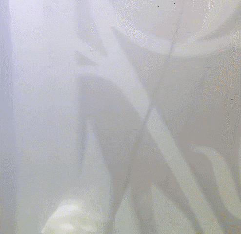 浄水器