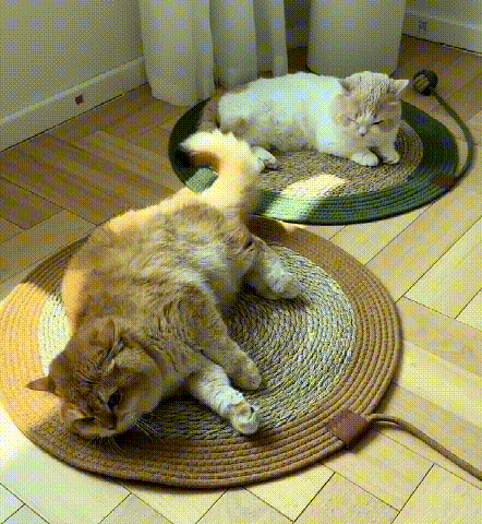 猫用スクラッチパッド