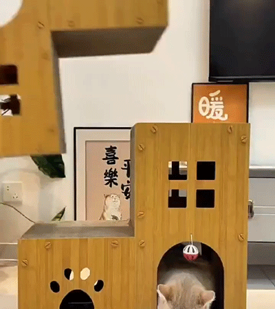 ヴィラ