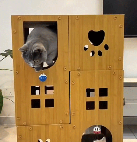 ヴィラ