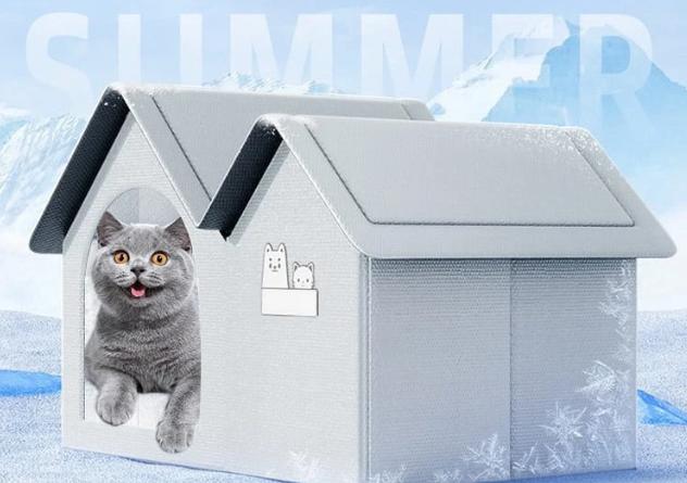 猫の巣