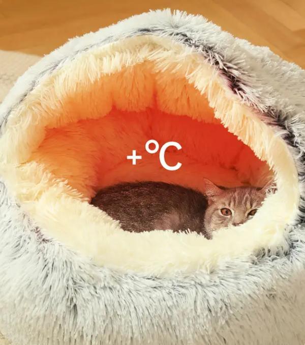猫砂