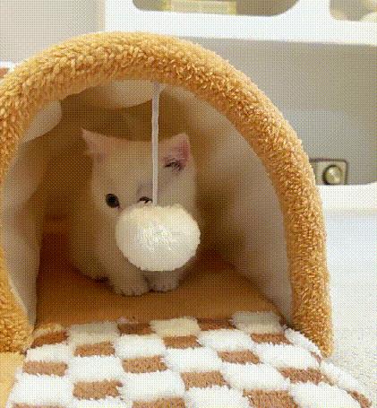 ペット・トンネル・ネスト