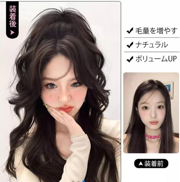 ウィッグ