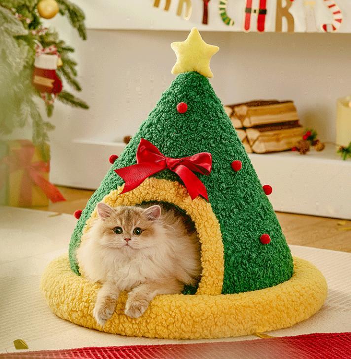 猫の巣