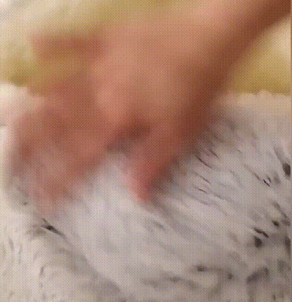 半密閉式ゴミ箱