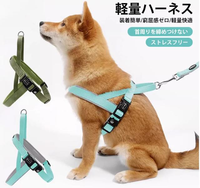 アンダーウェア
