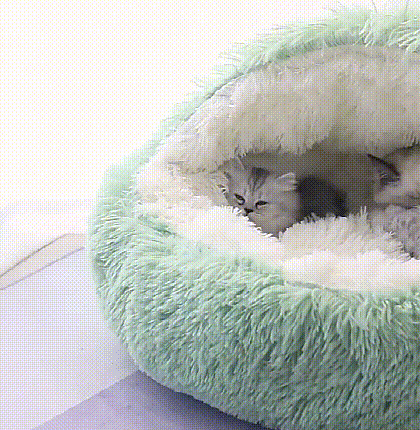 半密閉式ゴミ箱