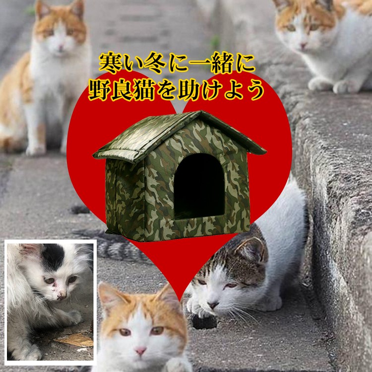 アウトドア猫の巣