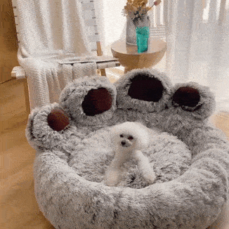 ペット ウォータールー
