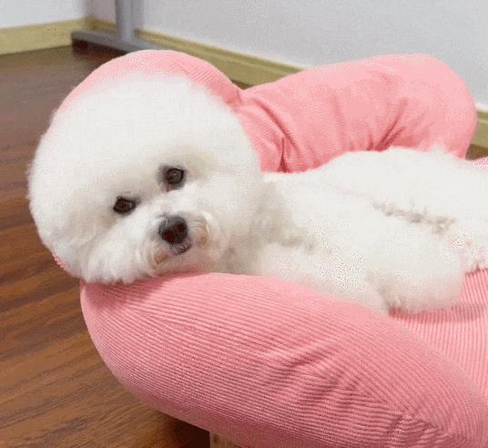 ペット用ソファ
