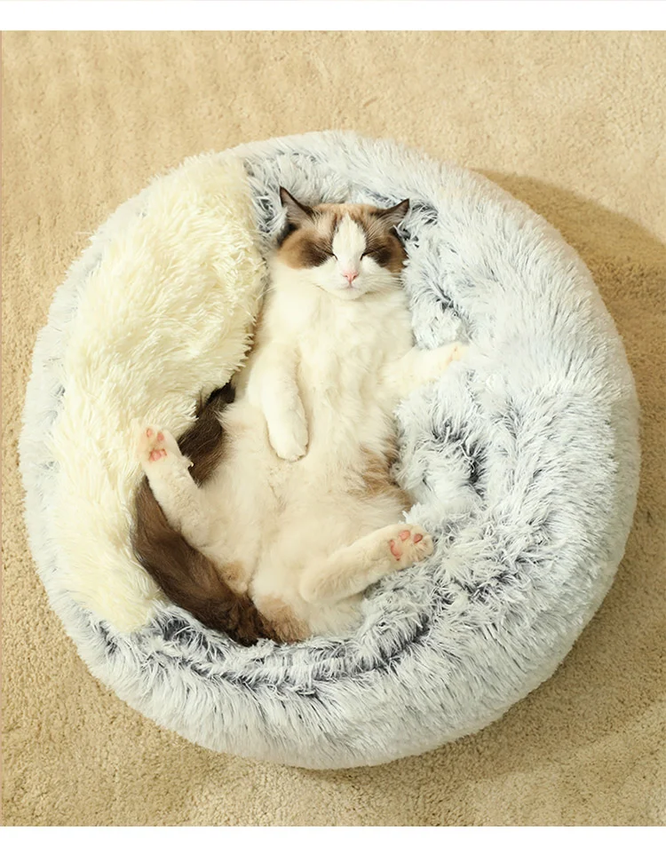 ペット ウォータールー