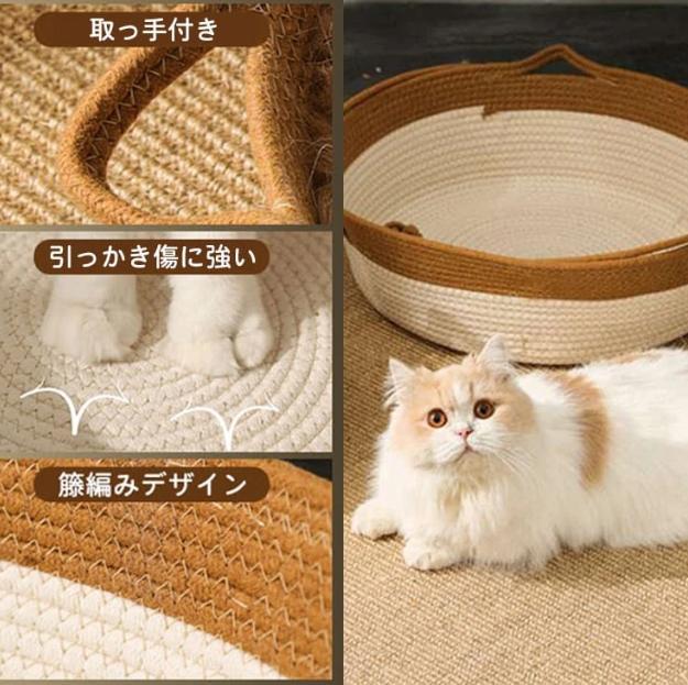 ウィッグ