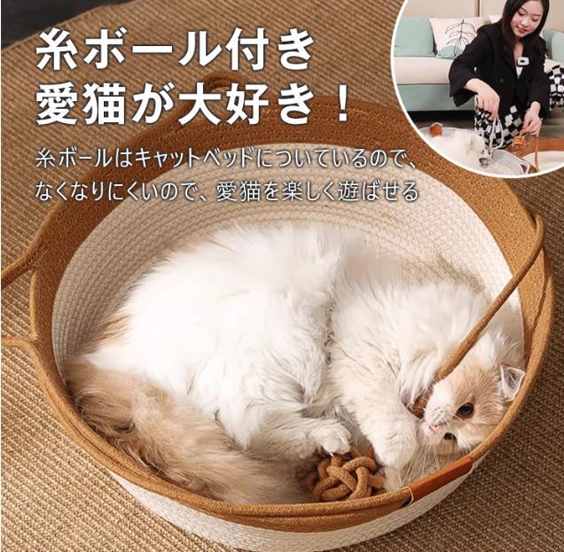 ウィッグ