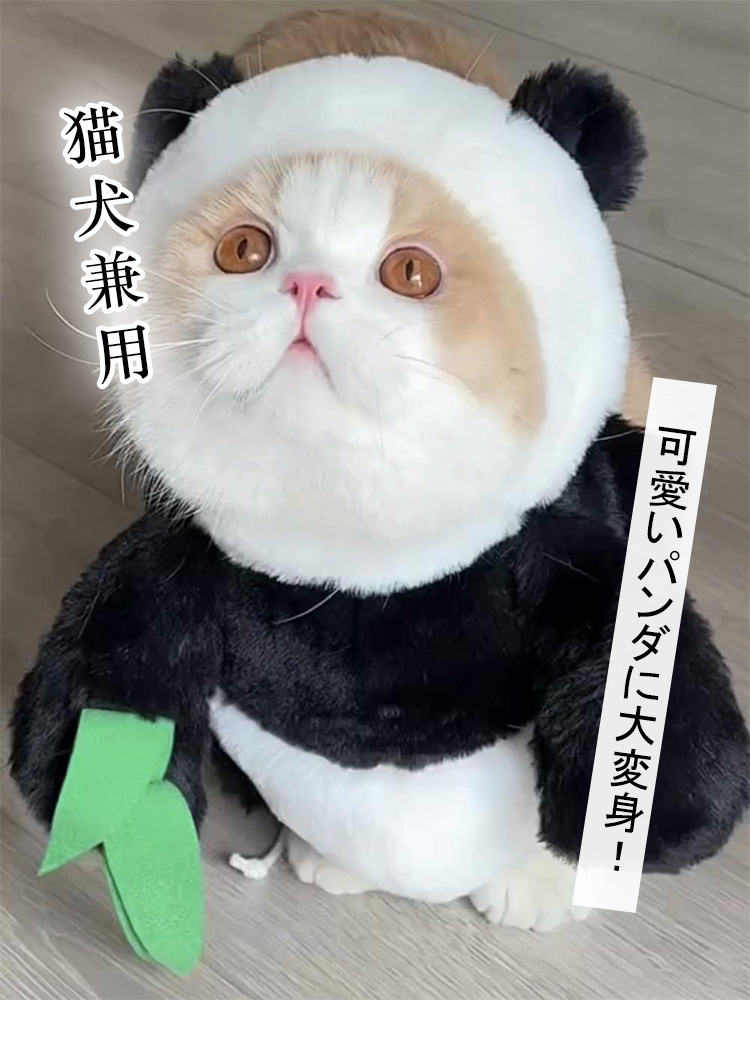 ペットウェア