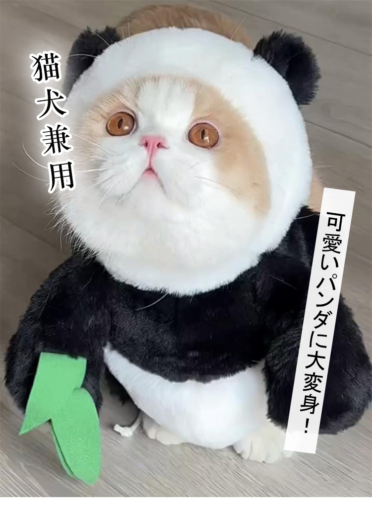 ペットウェア