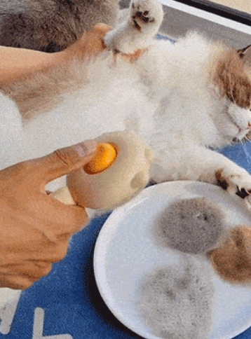 ペット用ヘアコーム