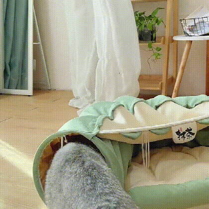 ペットの砂