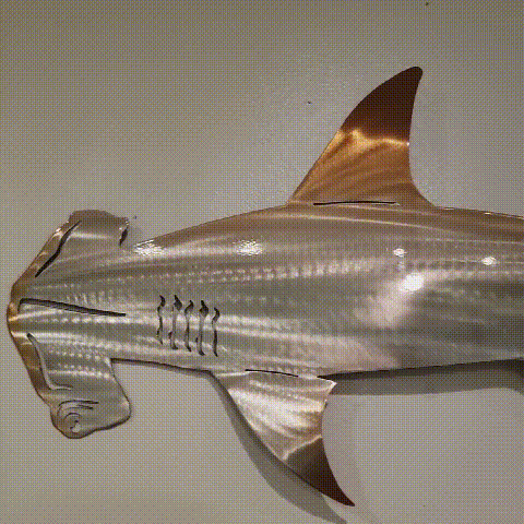 海の生命の壁の装飾