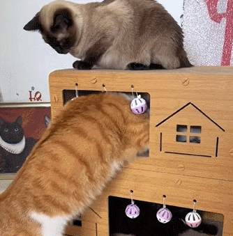 猫用スクラッチボード