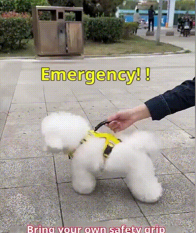 反射犬胸キャリア