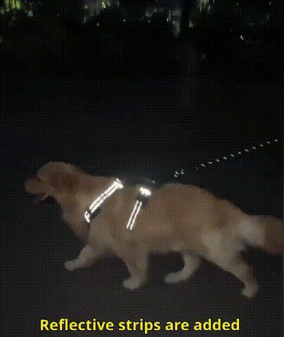 反射犬胸キャリア