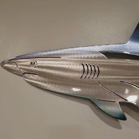海の生命の壁の装飾