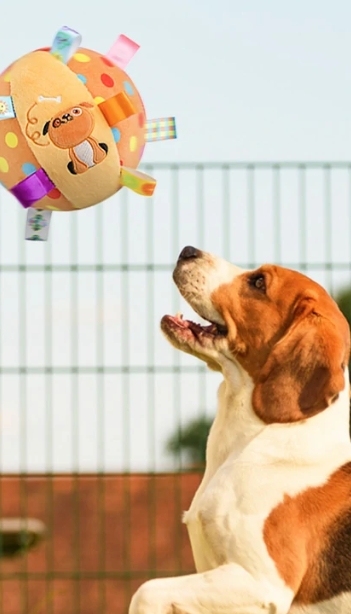 ガラガラボール犬のおもちゃ
