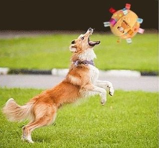 ガラガラボール犬のおもちゃ