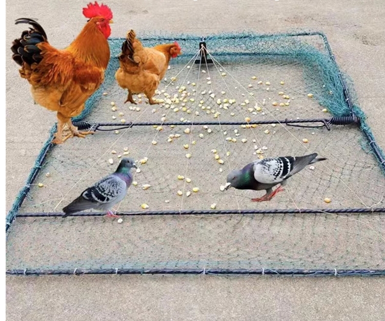 自動防鳥ネット