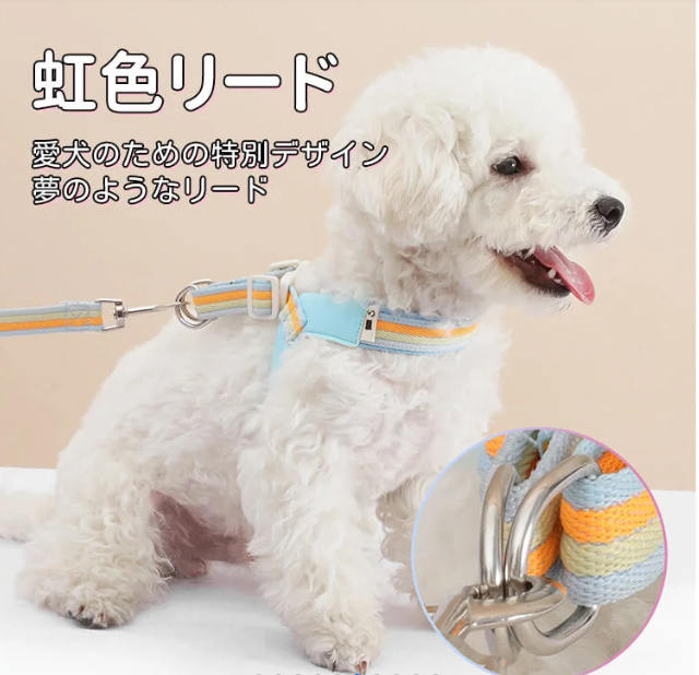 胸背スーツ