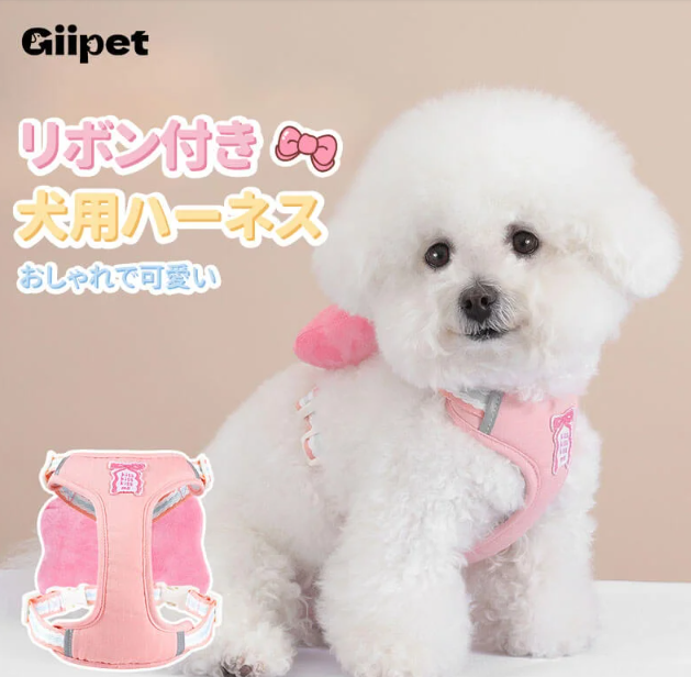 犬の散歩ひも
