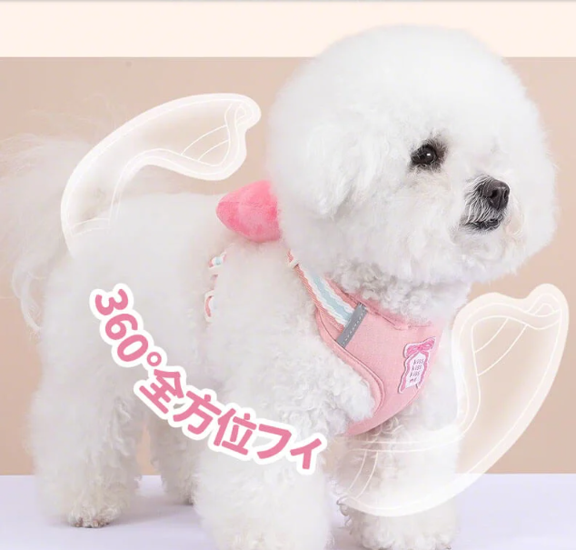 犬の散歩ひも