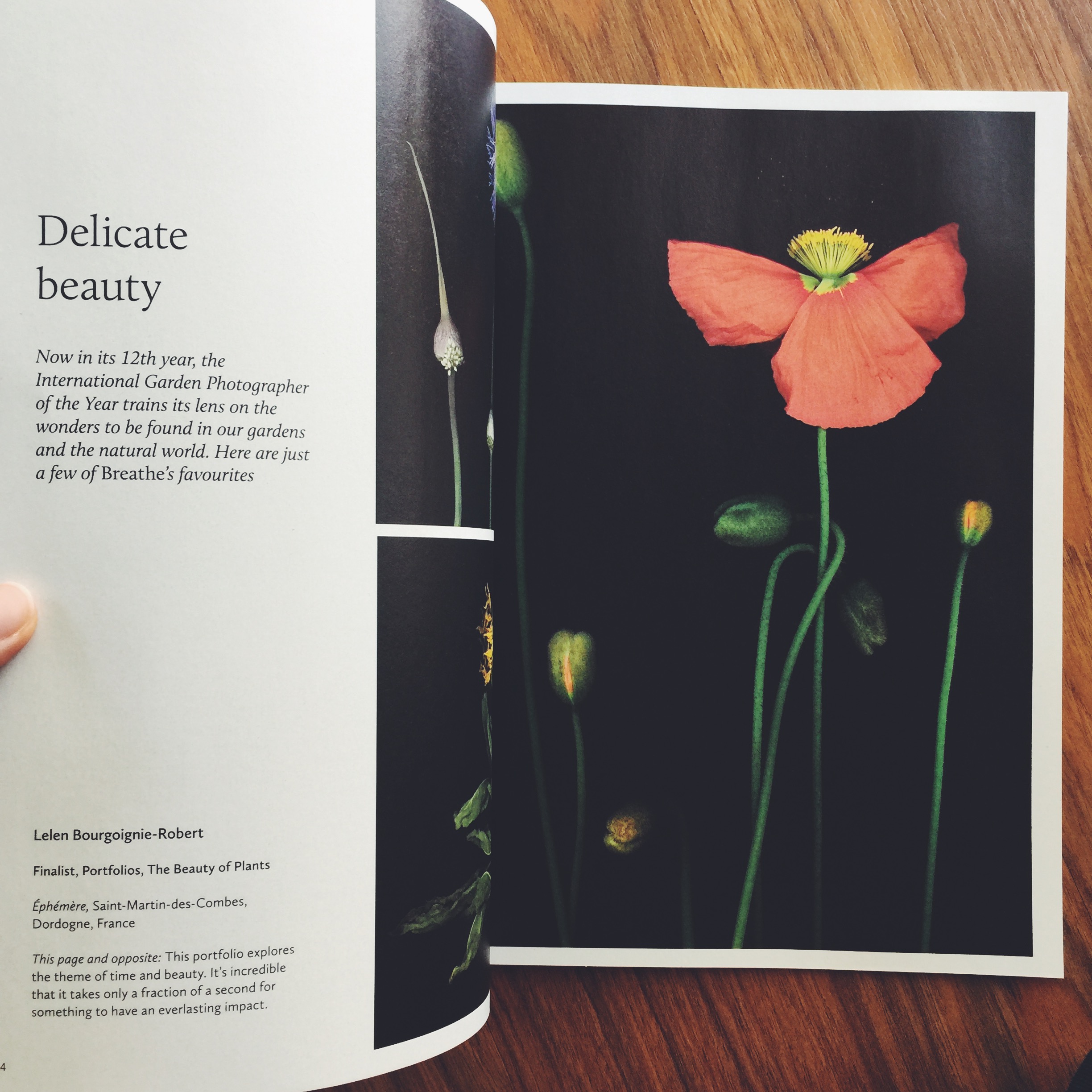 Breathe Magazine - Issue 21