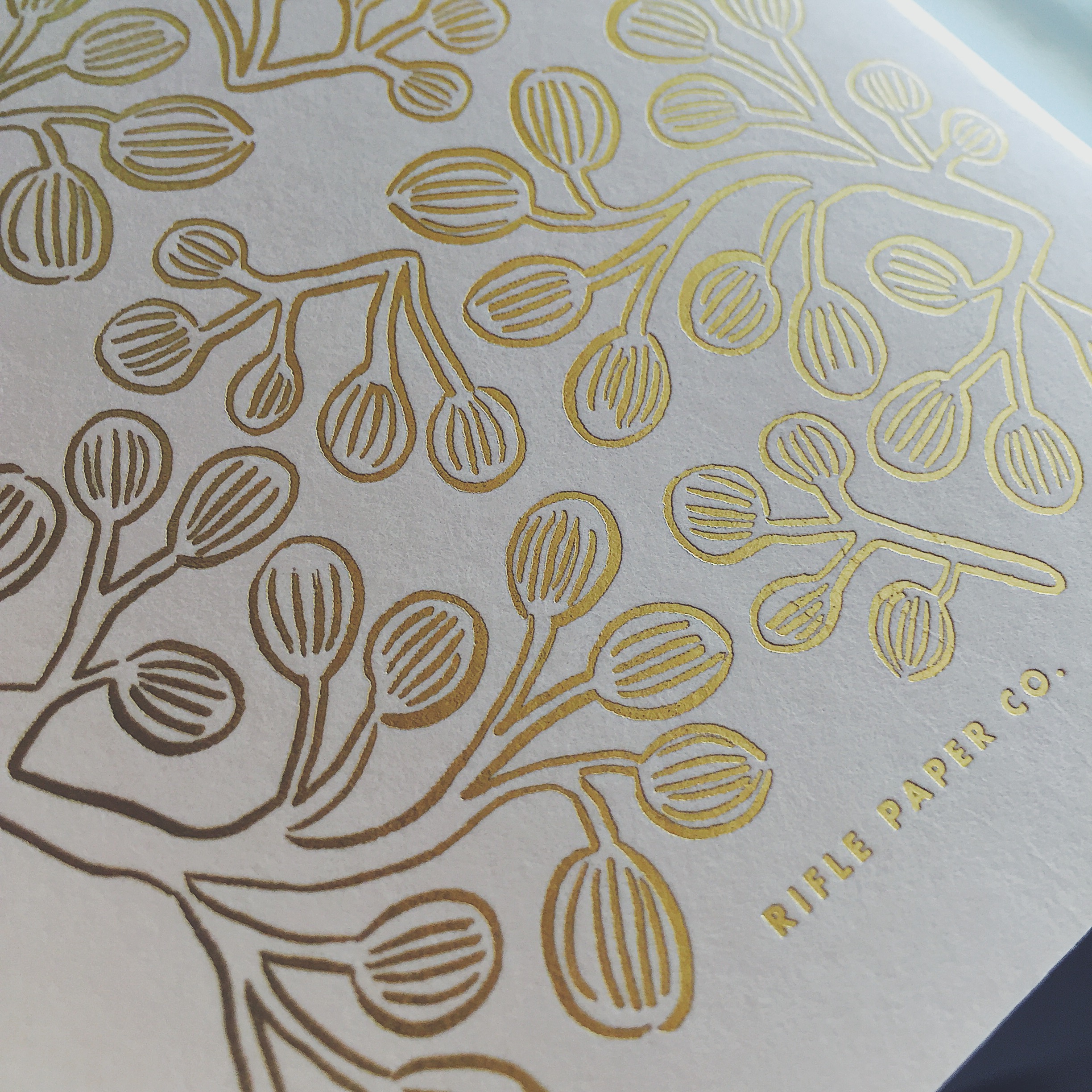 Rifle Paper Co. Pocket Notebook