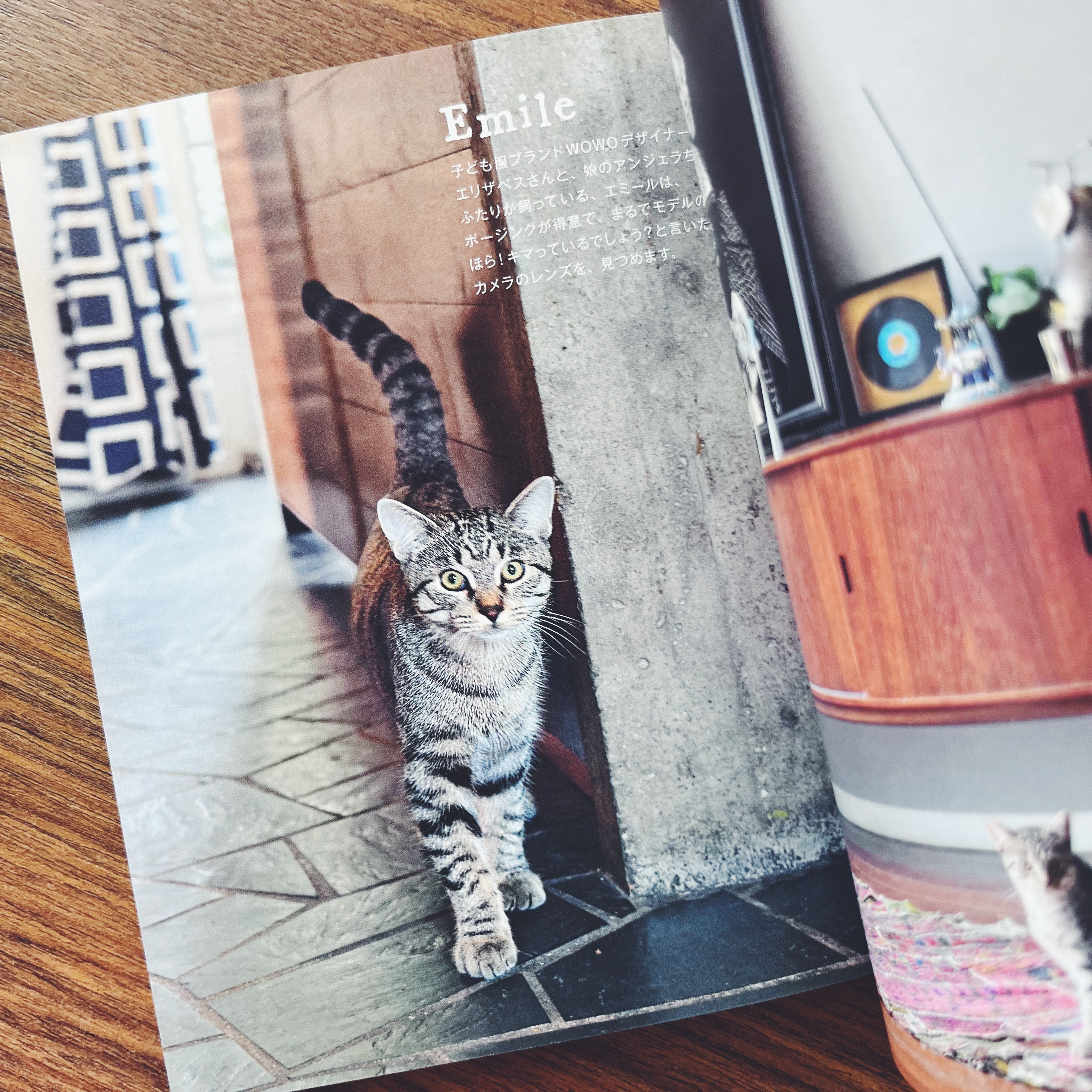 Mon petit chat de Paris