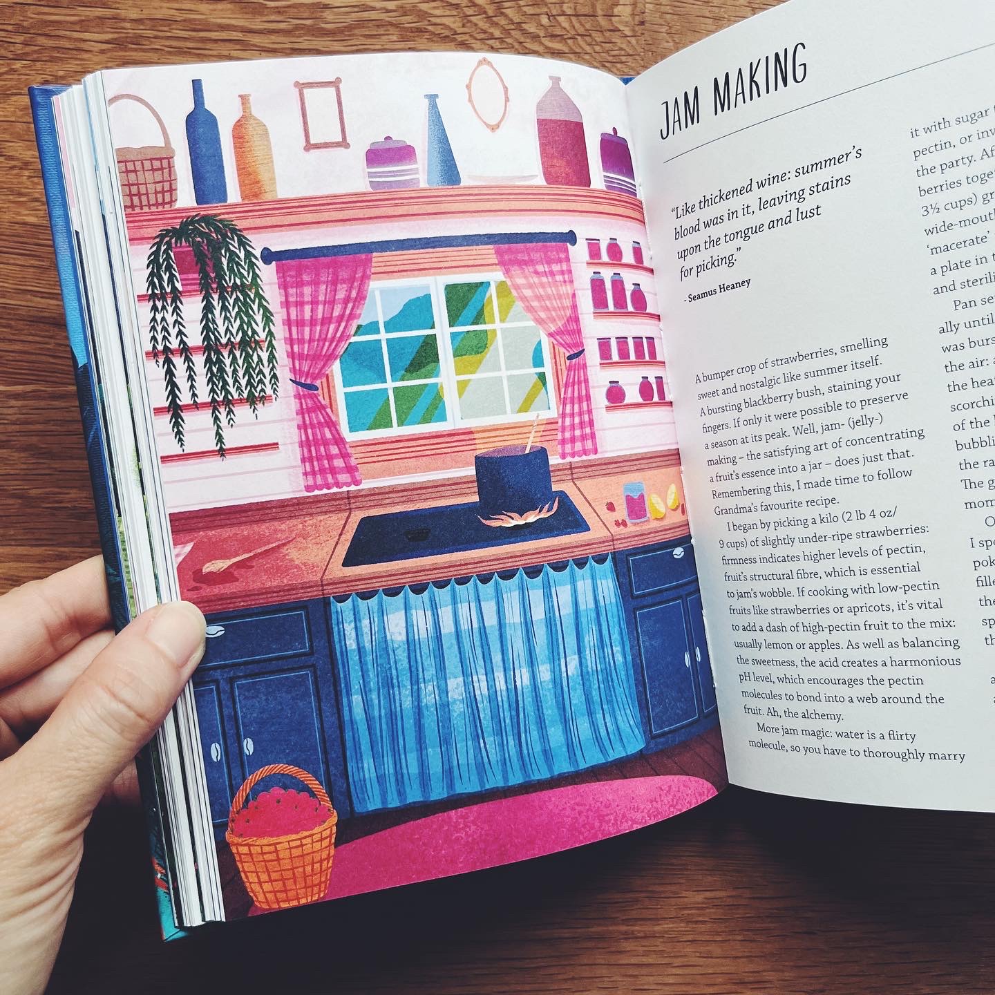 Rewild Your Life: Reconnect to nature over 52 seasonal projects